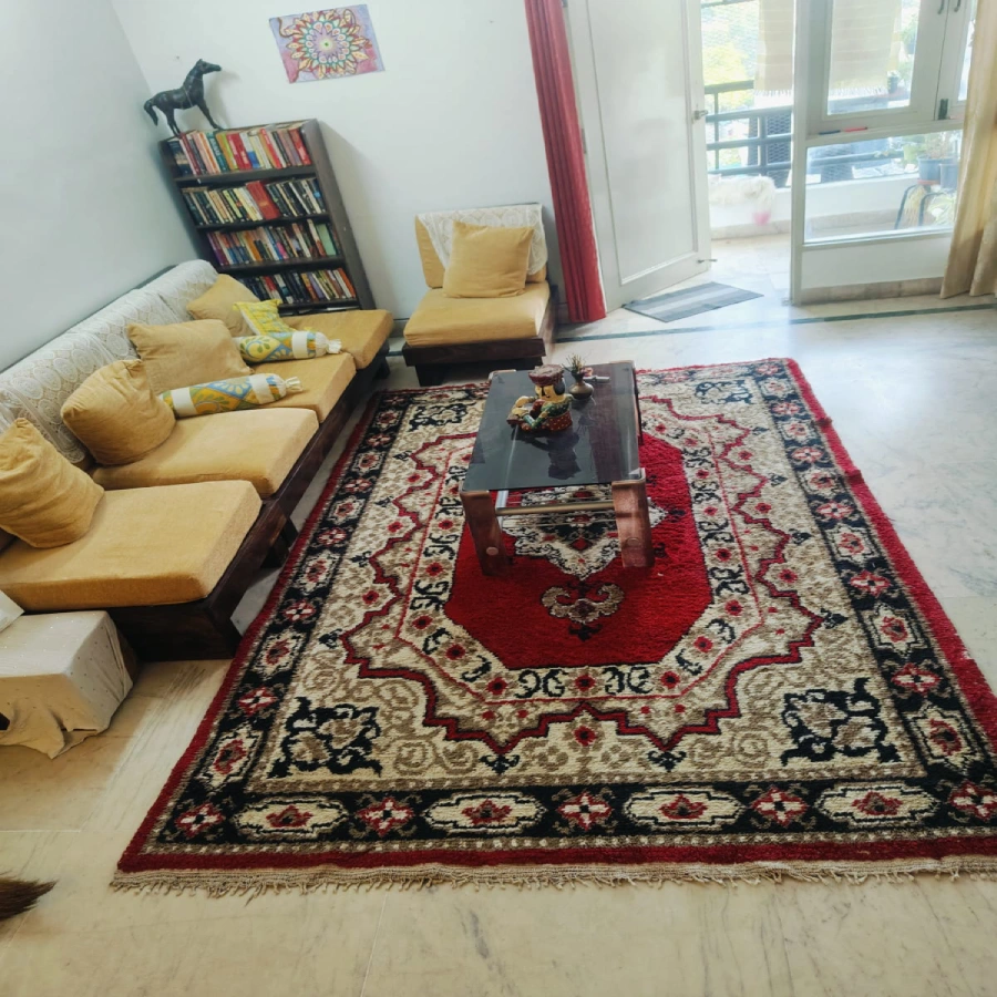 Sofa Cleaning